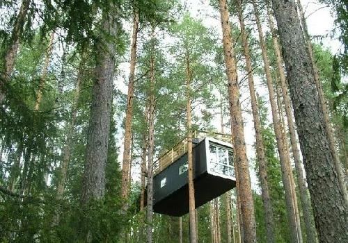 到瑞典樹屋體驗天才般的創意設計