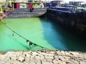 京杭运河江苏丹阳段因化工厂偷排废水变蓝(图)