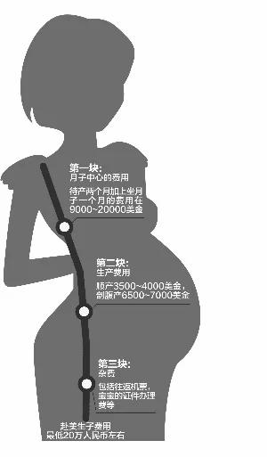中國人赴美生子盛行媽媽們吐槽月子中心不靠譜(組圖)
