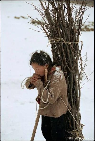 央视都不敢公布的照片