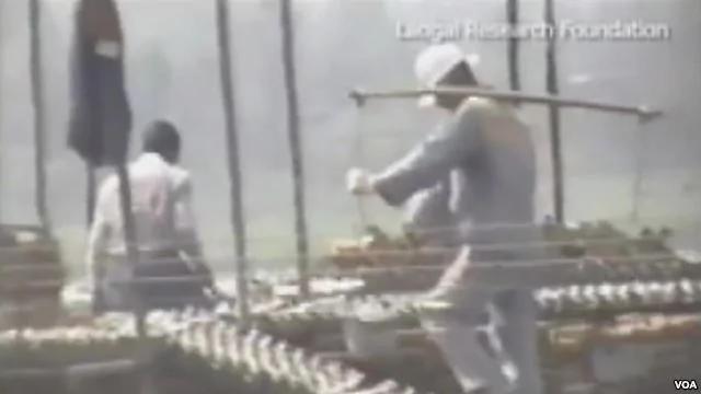 中国一个劳教所的劳教人员在劳动(视频截图)