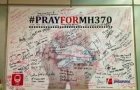 陈思敏:茫茫印度洋 谁先找到MH370？