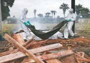 史无前例 埃博拉杀逾120医护 图