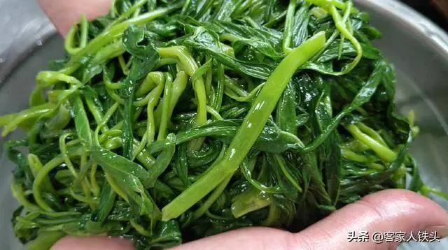 空心菜一個獨特的吃法 你試過嗎?出鍋翠綠又美味 比吃肉還香 7 20190412024337622