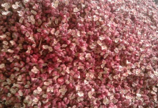 花椒對身體有什麼好處?6個功效顯而易金 別錯過了! 2 20190428055550275