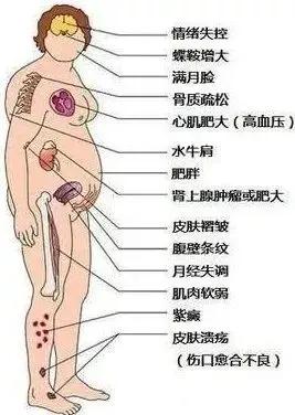 激素不能用!會發胖!然而 真相竟是… 3 20190814090431544