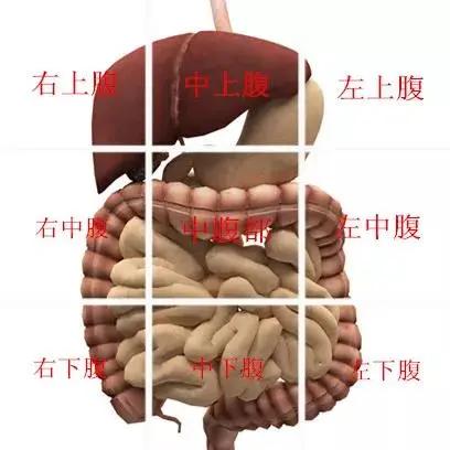 20200417081635824