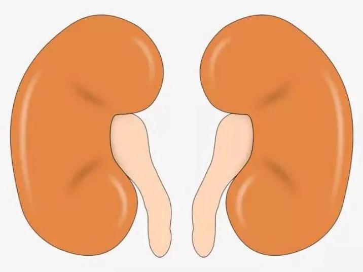 腎不好的人 身體會出現1黃、2白、3黑 養護腎臟 堅持四個一