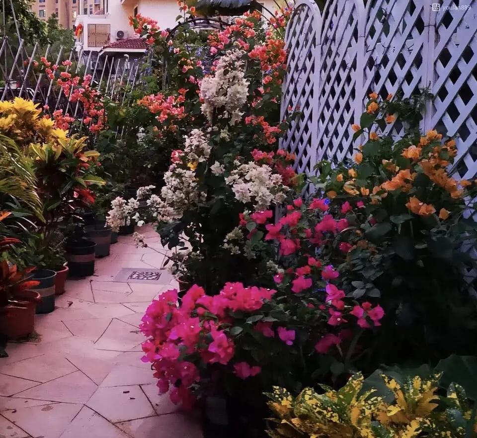 20200503051036458