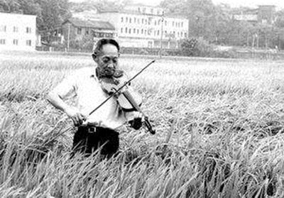 袁隆平神話 雜交水稻之父是怎樣升起的？