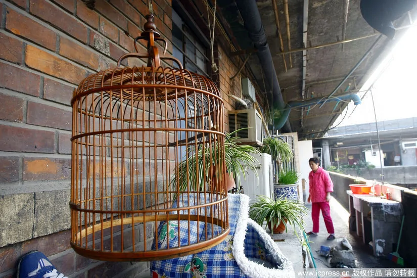 隆昌公寓：探訪繁華大上海中真實版「豬籠寨」（高清組圖）