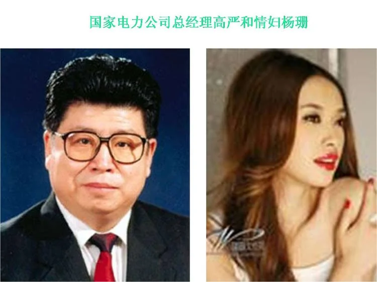 被省部级贪官睡了的三大中国漂亮女主持人（图）