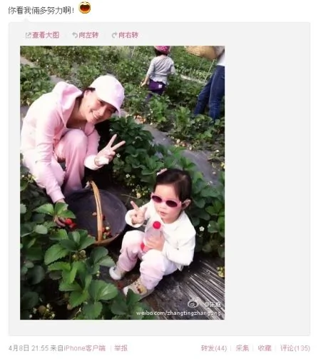 張庭帶女兒采草莓