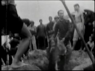 没见过的图片：枪毙和活埋 北越土改运动
