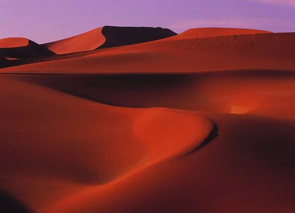 摄影佳作欣赏：热情的沙漠 