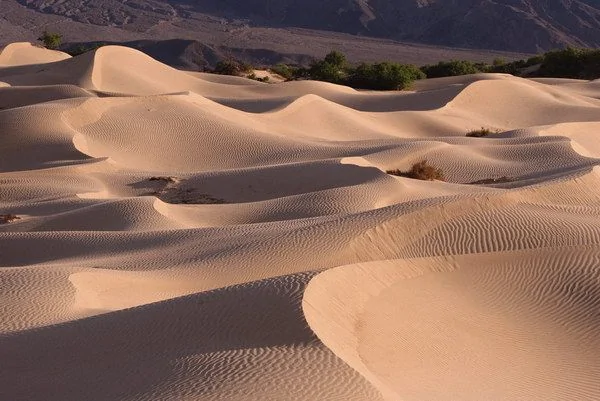 攝影佳作欣賞：熱情的沙漠 