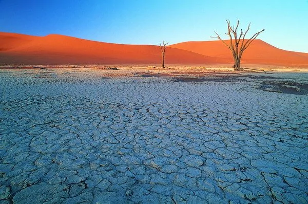 摄影佳作欣赏：热情的沙漠 