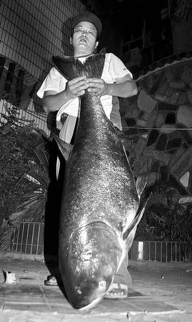 罕見：湖南男子60米深坑裡釣起1.38米長巨型鱅魚 