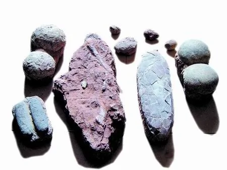 河南發現「恐龍山」：蘊藏15萬枚恐龍蛋化石 