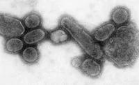 1918流感大流行