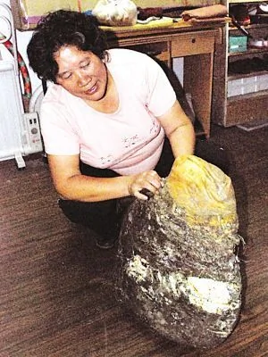 南京女子挖到47斤大“太岁”：用刀砍 涌出“猪油” 