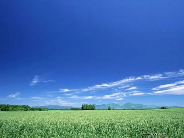 藍天白雲11