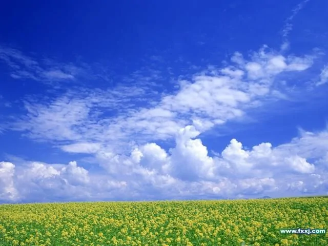 藍天白雲13