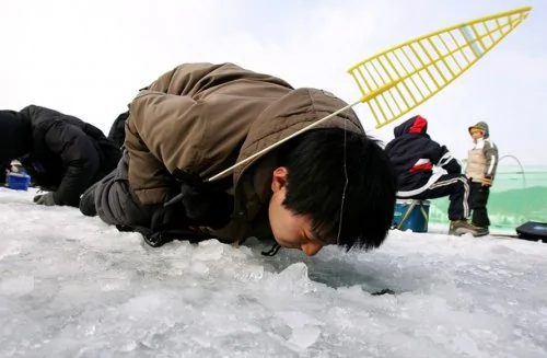 看韩国人冬季怎么捞鱼（组图）