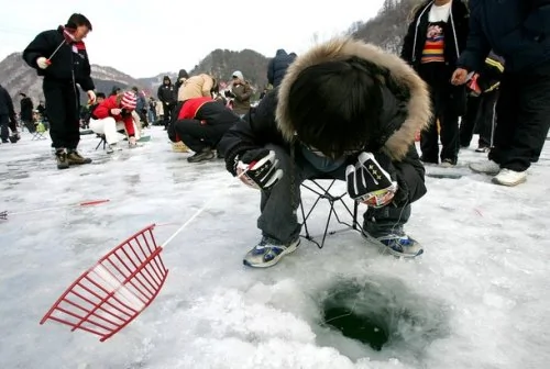 看韩国人冬季怎么捞鱼（组图）