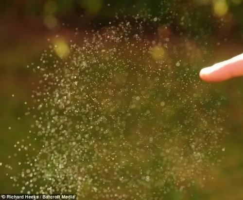 英摄影师拍到罕见肥皂泡泡爆破奇妙瞬间 