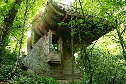 美國建築師在樹林中建造奇特木屋 耗時7年 