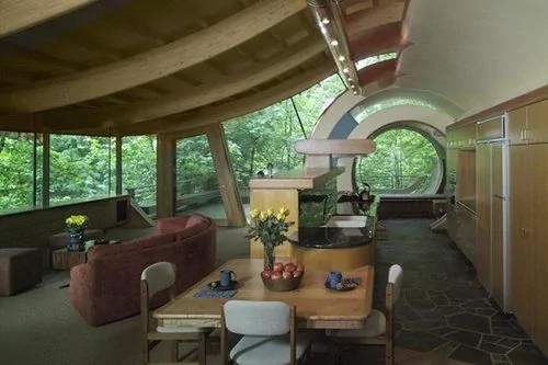 美国建筑师在树林中建造奇特木屋 耗时7年 