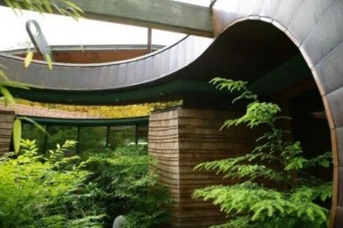 美國建築師在樹林中建造奇特木屋 耗時7年 