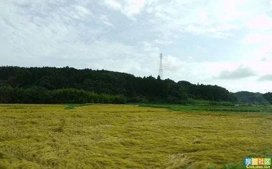 實拍日本鄉間的絕世拉麵