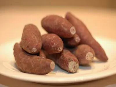 九、長斑的紅薯 紅薯上長黑斑，是由於感染黑斑菌所致，吃後易中毒。