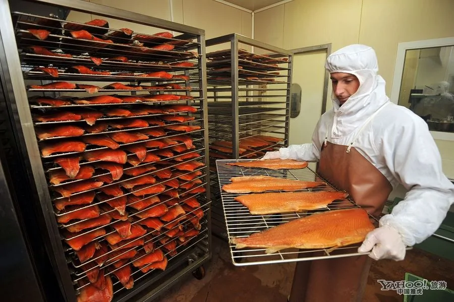 法国熏鲑鱼工厂 探秘生鱼片是怎么炼成的