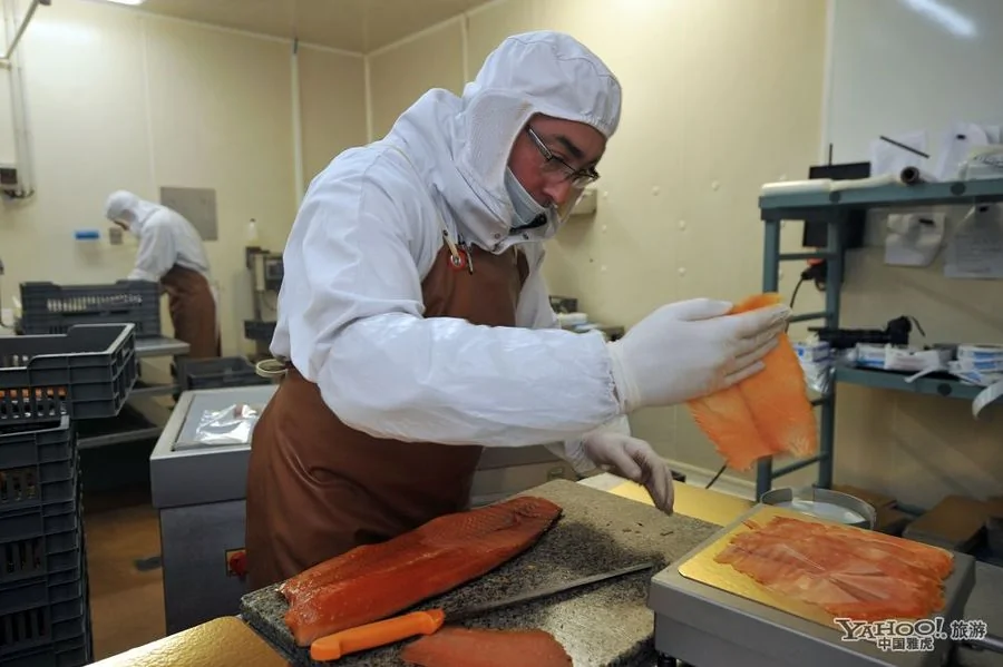 法國熏鮭魚工廠 探秘生魚片是怎麼煉成的