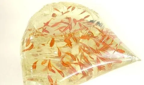 日本惟妙惟肖的「樹脂金魚」