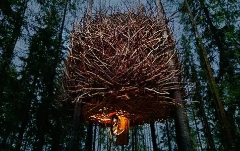 到瑞典樹屋體驗天才般的創意設計