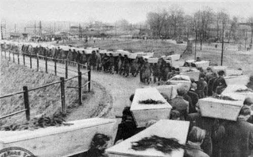 惨不忍睹的历史：实拍纳粹集中营里的女人 (组图)