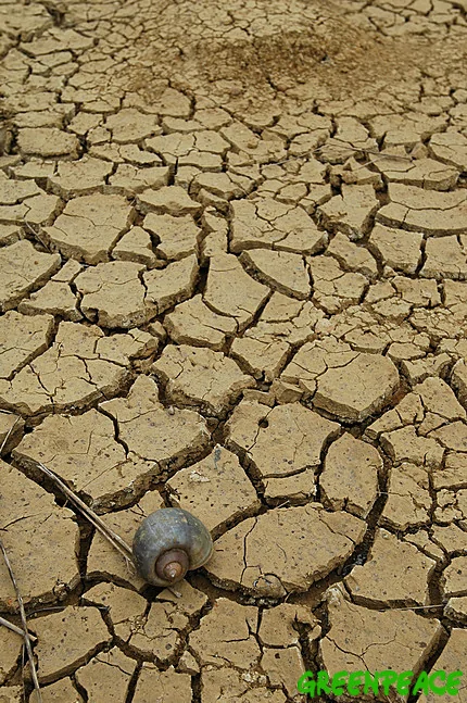 长期干旱是全球暖化的一种征兆