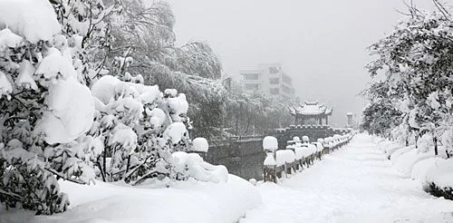 雪景：另一種江南夢境 