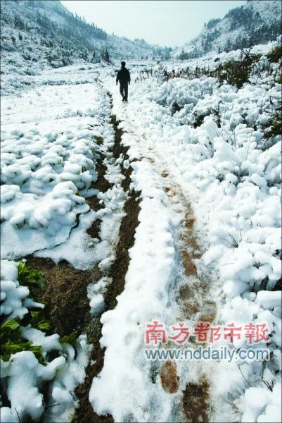 乐昌市坪石镇天堂村，冰雪至今未融，地面仍被大雪覆盖着。