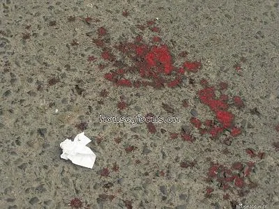 斑斑血漬，觸目驚心！發生在北京麒麟家園的血腥暴力！  