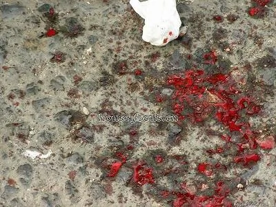 斑斑血渍，触目惊心！发生在北京麒麟家园的血腥暴力！  