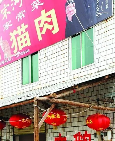 湖南湘潭一餐館賣「水煮活貓」嚇跑食客 