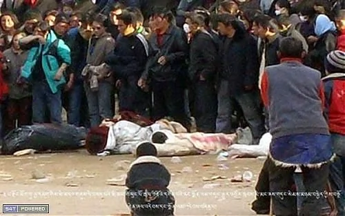 被枪杀的僧人、藏民、佛教信众