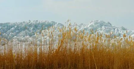 奇观：新疆大风吹出百丈冰山绵延几十里若宝石 