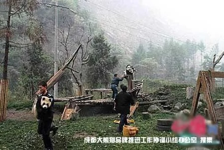 卧龙中国保护大熊猫研究中心震后现场 