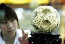 天價象牙球亮相京城 60層透雕售價近兩千萬 